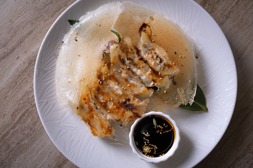 Gyoza with pork and vegetables